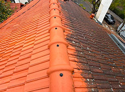 Nettoyage & démoussage L'Atelier des Gouttières Longpont-sur-Orge 91